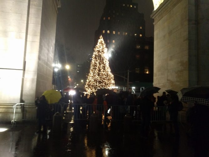 A Majestic Holiday Tree in Washington Square Park